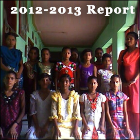 2012-2013 Bridge Course Report