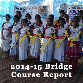 2014-2015 Bridge Course Report