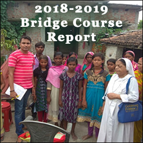 2018-2019 Bridge Course Report