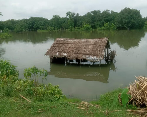 2021 Flood in Bihar